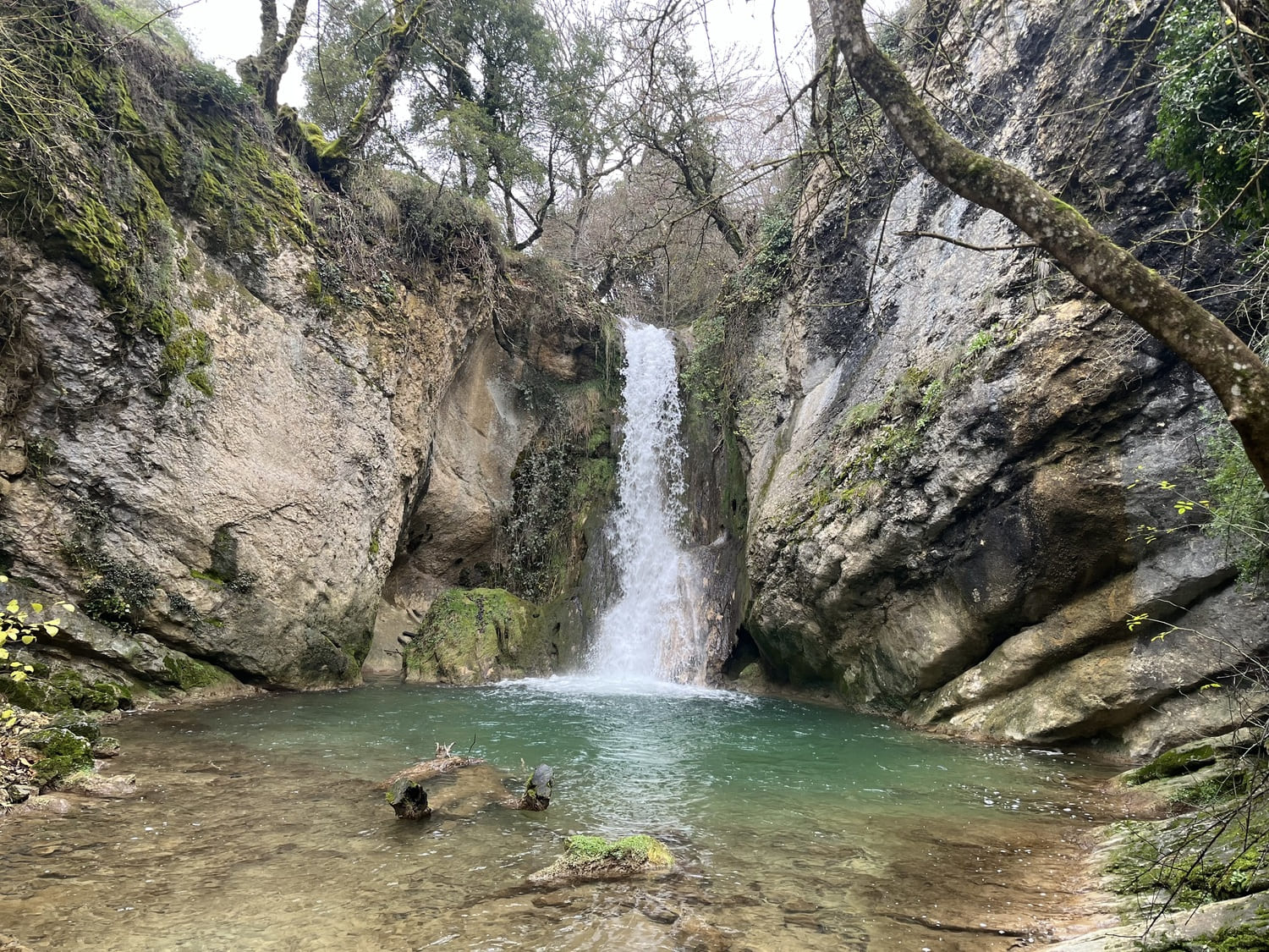El manzanal (6)